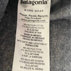 パタゴニアフーディーの画像