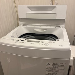 TOSHIBA洗濯機（2019年式）  2/26-28引渡しの画像