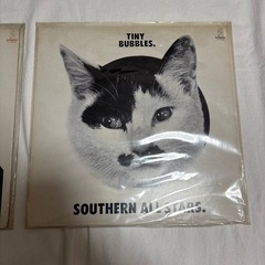 サザン　レコードセットの画像