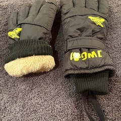 スキーグラブ　レディース
の画像