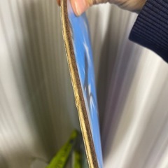 スノーボード の画像