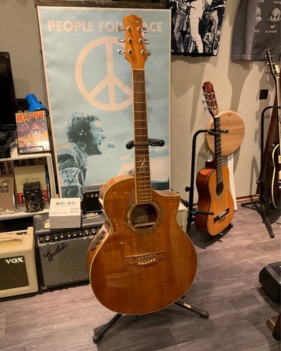 【ギター】Ibanez EW20KOE　エレアコ（アイバニーズ）【ソフトケース付き、プリアンプに難あり】