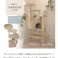 キャットタワーの画像