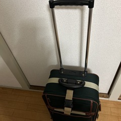キャリーバッグの画像