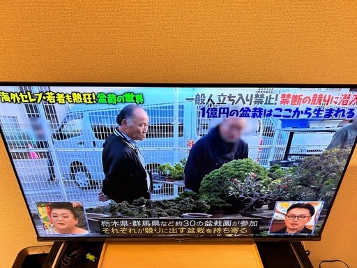 [値下げしました]ハイセンス23年製テレビ43インチ
