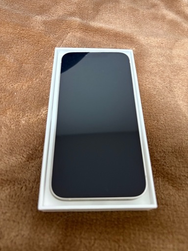 iPhone13 256G