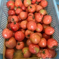 訳ありトマト🍅4キロ分✨個数限りあり！の画像