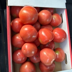 訳ありトマト🍅4キロ分✨個数限りあり！の画像
