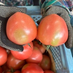 訳ありトマト🍅4キロ分✨個数限りあり！の画像