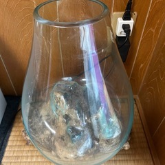 インテリア水槽の画像