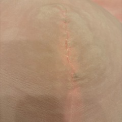 ピンキーぬいぐるみの画像