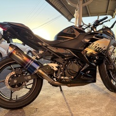 ninjya250cc の画像