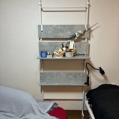 お値下げ✨美品✨突っ張りラックの画像