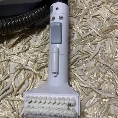 アイリスオーヤマ　リンサークリーナー♪の画像