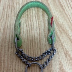 albiot  
ハーフチョークカラーの画像