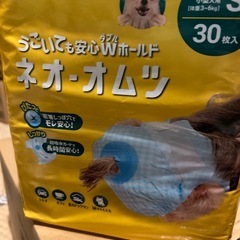 犬用オムツ　まとめての画像