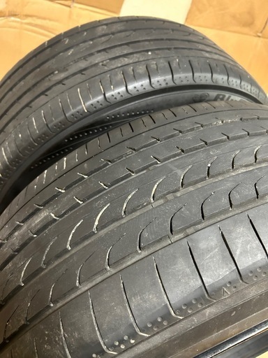 レオンハルト　決まりました