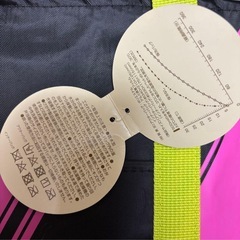 新品未使用 Mizuno 保冷洗えるランチバッグ 2重タイプの画像