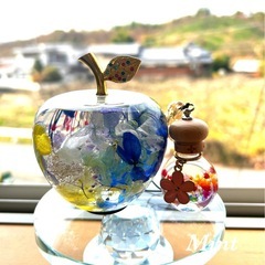 ハーバリウムや色々お花を使った体験教室の画像