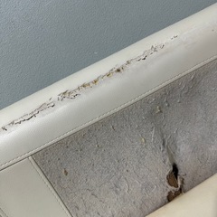 【1/28(水)まで】ニトリ ソファーの画像