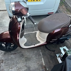 ジョルノ  AF70 ホンダの画像