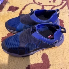 Coleman 靴 26cmの画像