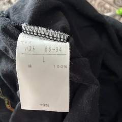 Lレディースシャツの画像