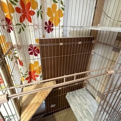 猫のゲージ、リュックその他もろもろの画像