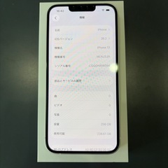 (お話中)iPhone13  256GB 美品の画像