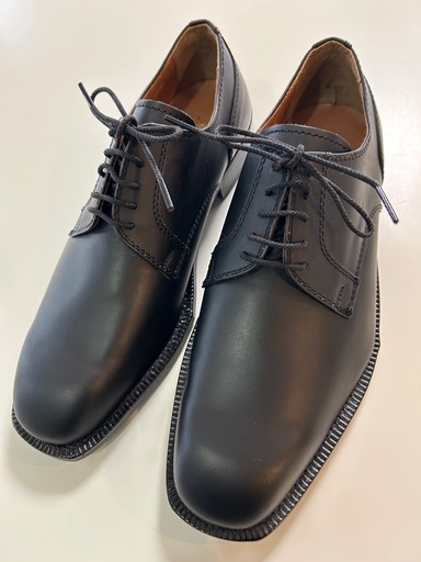 Aquascutum アクアスキューム 外羽根プレーントゥビジネスシューズ ドレスシューズ くつ クツ 革靴 紐靴 レースアップシューズblack ブラック黒色系レザー 24.5センチ日本製 国産 国内製 メイドインジャパン made in japan