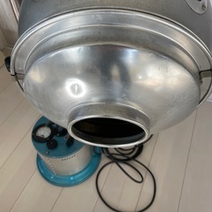 コウケントー の画像