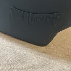 クッション 使用頻度少 コストコの画像