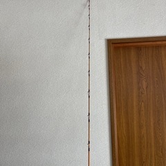 ダイワ　リーディングX A 225の画像