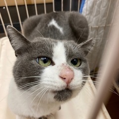 岡山市保健所⭐︎お声かかり中です