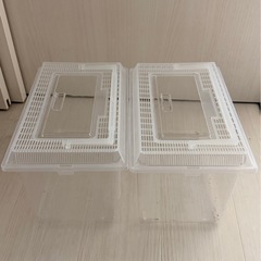 【話し合い中】虫かごの画像