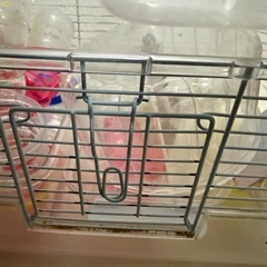 SANKOハムスターゲージ　10,000円相当の画像