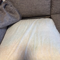 値下げ　2/1に処分　ニトリ　ソファの画像