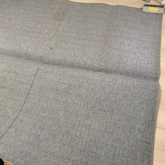 【取引完了1/21】電気カーペットの画像