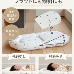 イブル ベッドインベッド（新生児〜）＋ベビー枕3点セットの画像