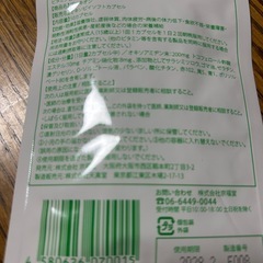 プロキオン　Procyonの画像