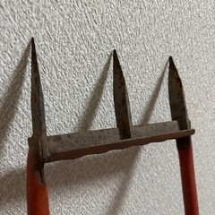 3月までの投稿　ガーデンスパイクの画像