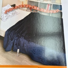 《決まりました！》電気､掛敷毛布ダブルサイズの画像