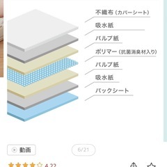 ◆ペットシーツ◆レギュラーサイズ◆200枚(100枚×2袋)◆薄手だけど高吸収◆の画像