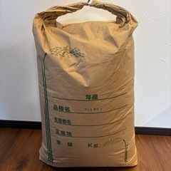 令和7年　新米コシヒカリ玄米30kg