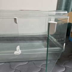 小動物用のゲージの画像