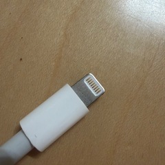 最終価格　Apple アップル純正品 Lightning SDカードリーダー A1595の画像