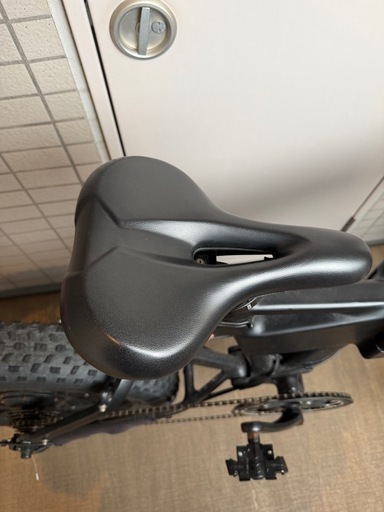 MOVE XS 電動アシスト自転車/型式認定取得　墨田区直接引き渡し　値下げ不可