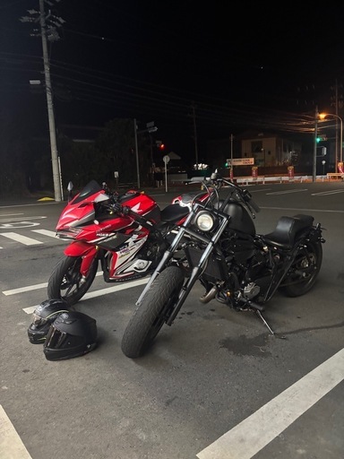 エリミネーター250v