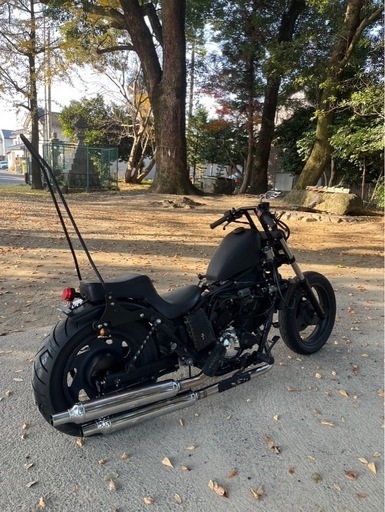 エリミネーター250v