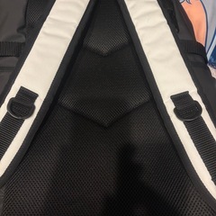 アメリカのストリートカジュアルブランド「LARKINS（ラーキンス）」のバックパック
の画像